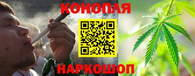 spice Кинель