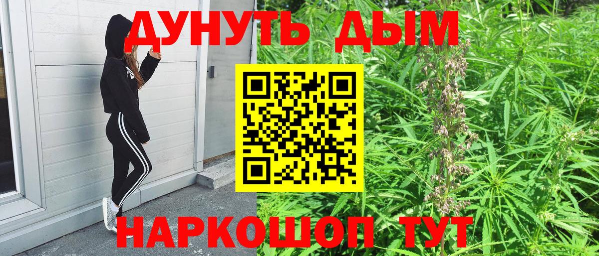 Волхов  Каннабис Bruce Banner  Бошки марихуана ГИДРОПОН  Марихуана индика  Вход с VPN 